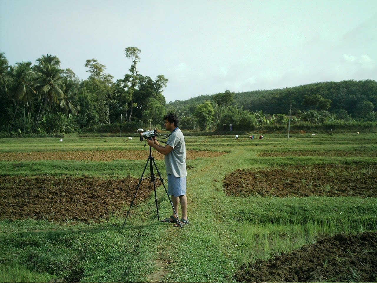 The birdwatcher at home