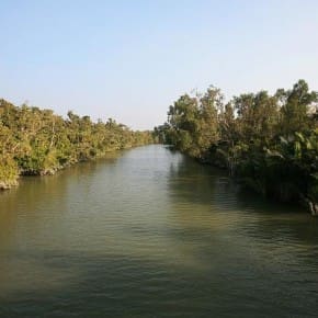 The Sundarbans are a meshwork of criss-crossing river channels