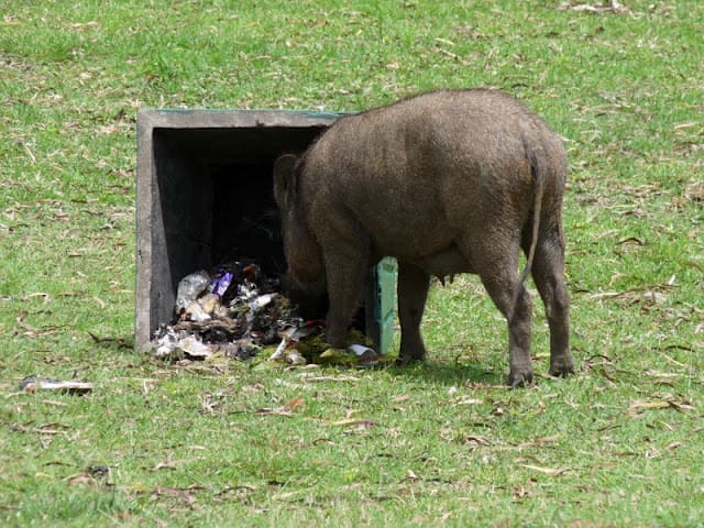 No porking please, we're boared boared01