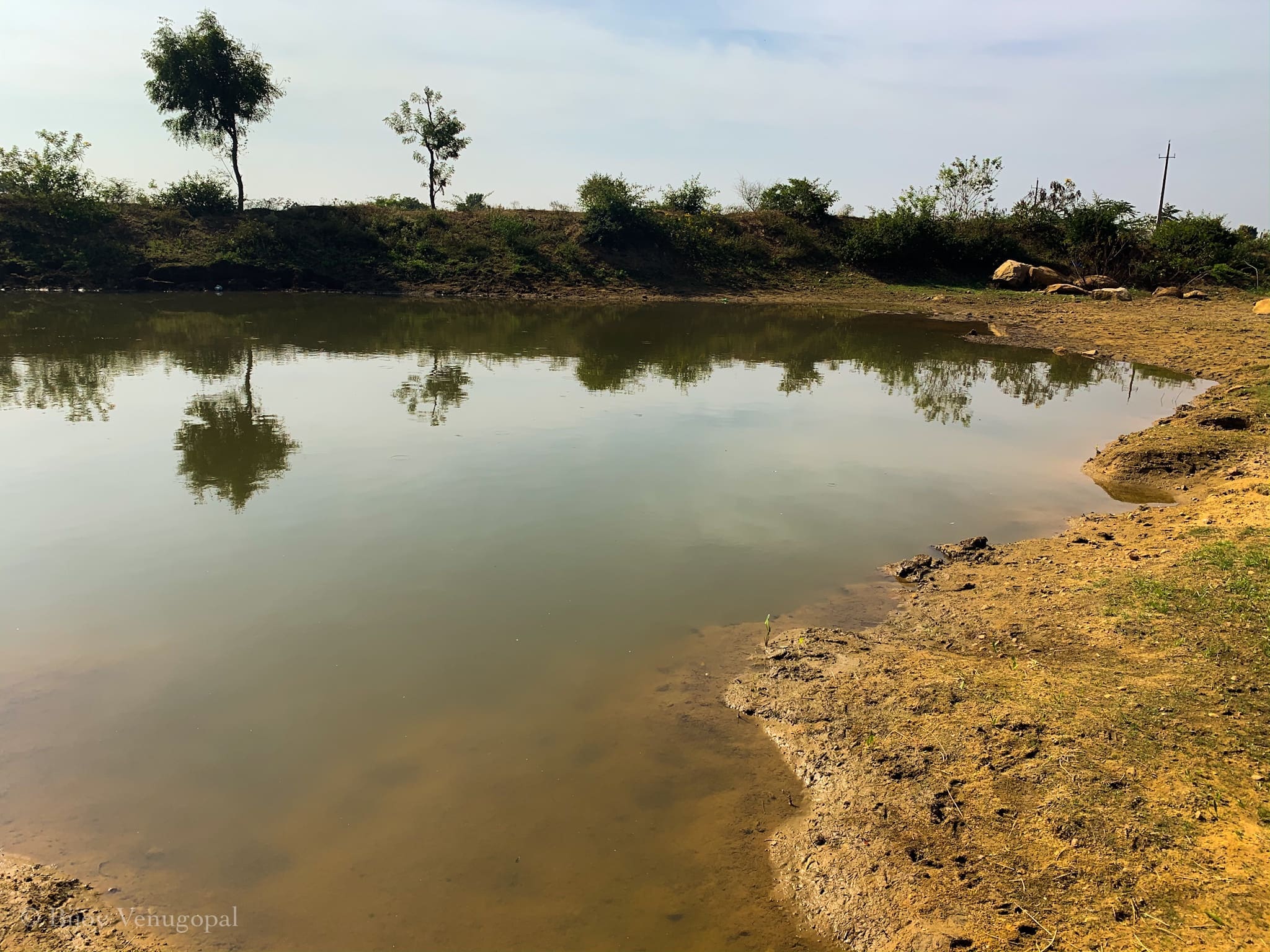 Waterhole in Jayamangali Blackbuck sanctuary 