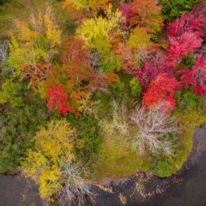 A bird's eye view of the fall