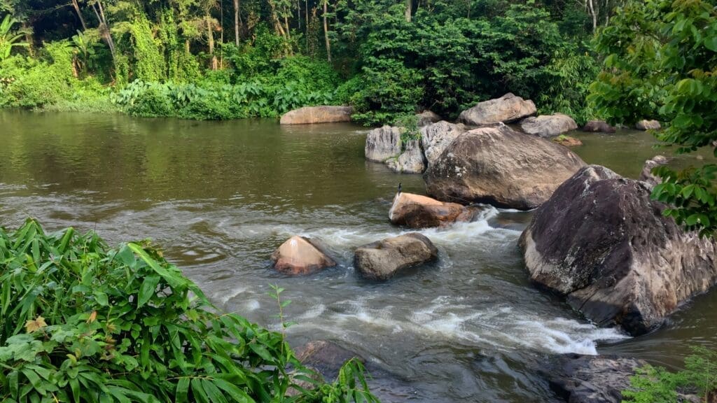 Muthirapuzha