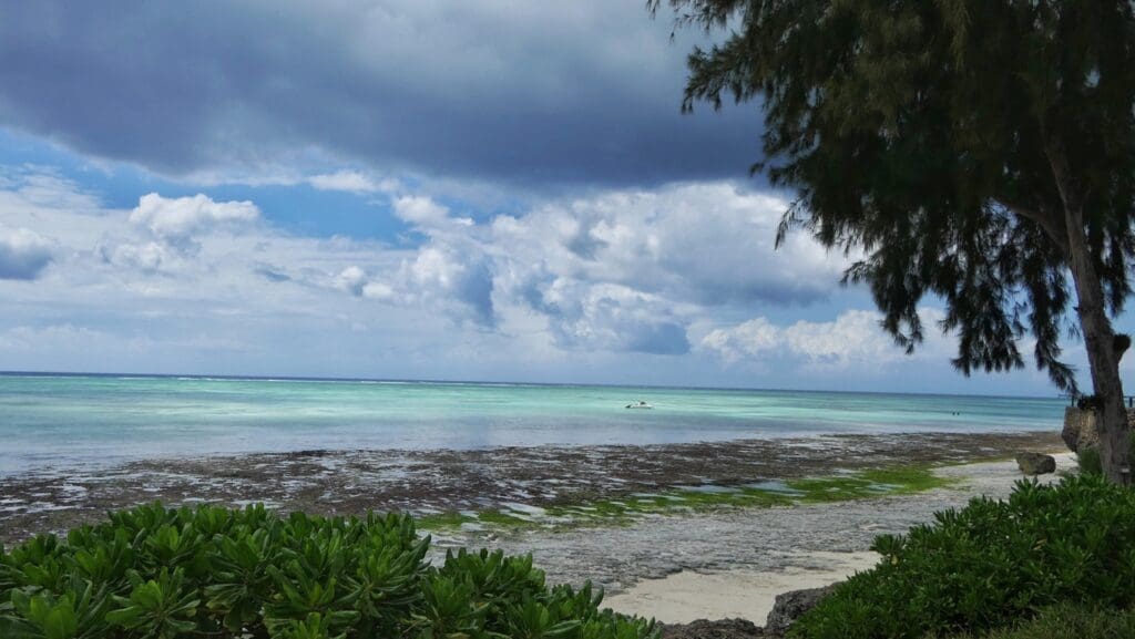 The coastline of the Tanzanian island of Zanzibar is made up of coral rag, limestone formed from ancient dead coral reefs