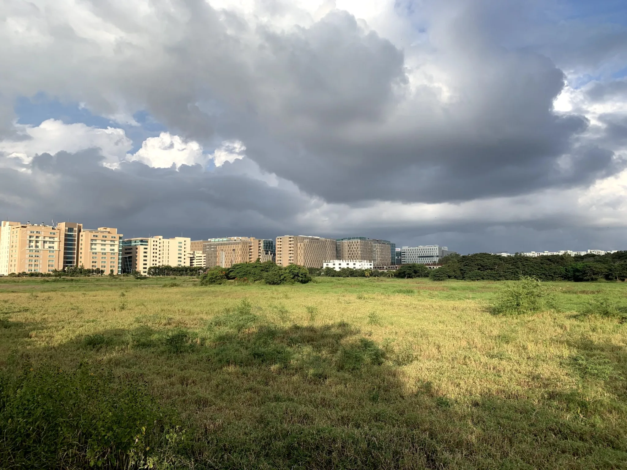 A view of Saul Kere, a wetland in Bengaluru