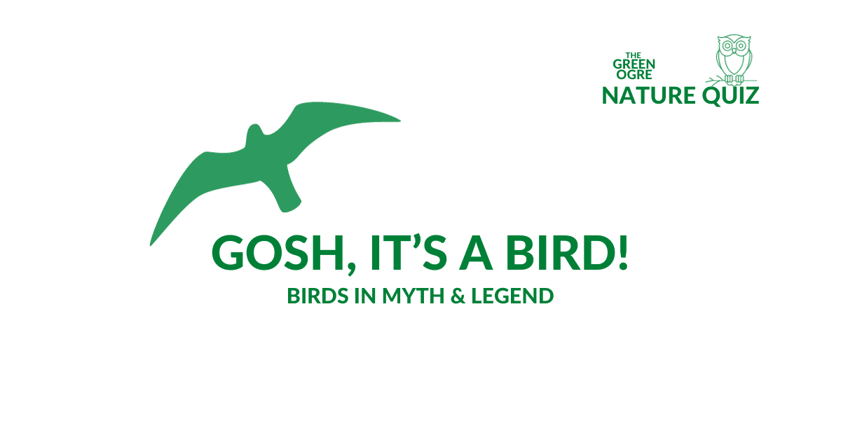 Bird Quiz - Birds In Myth And Legend | The Green Ogre Nature Quiz