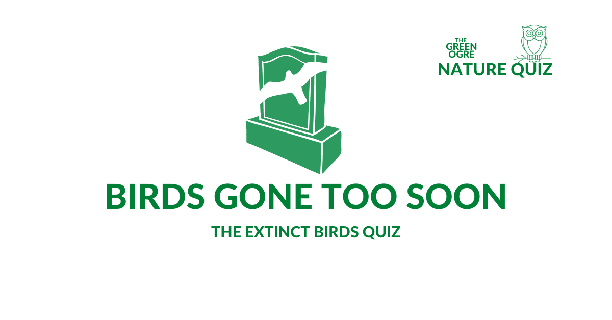 Extinct Birds Quiz - Birds Gone Too Soon | The Green Ogre Nature Quiz Series