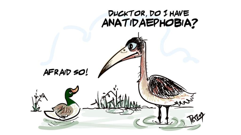 Anatidaephobia - is that an actual fear of ducks? And can storks have it?