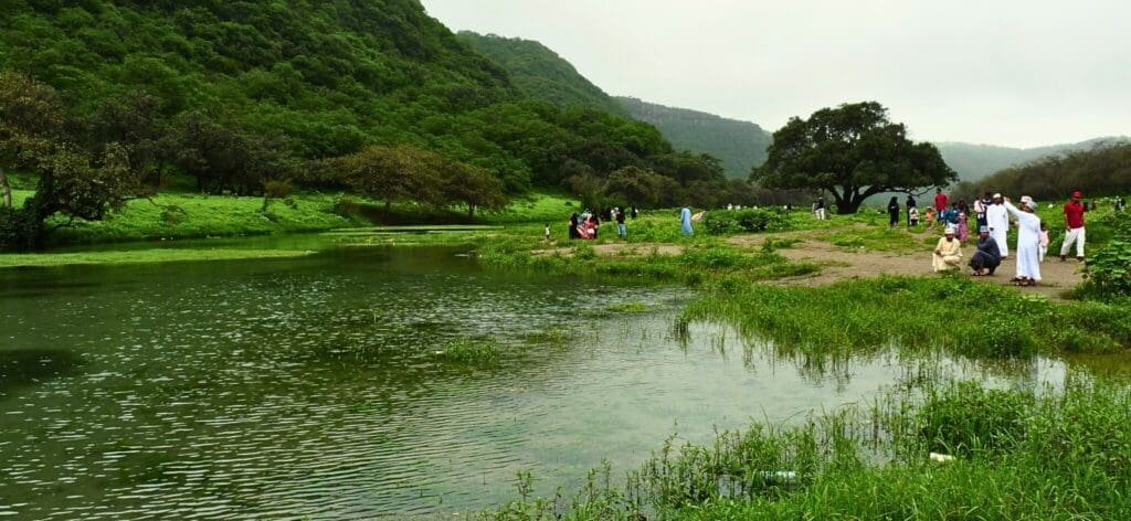 Salalah after the rains. Oman’s frankincense trail