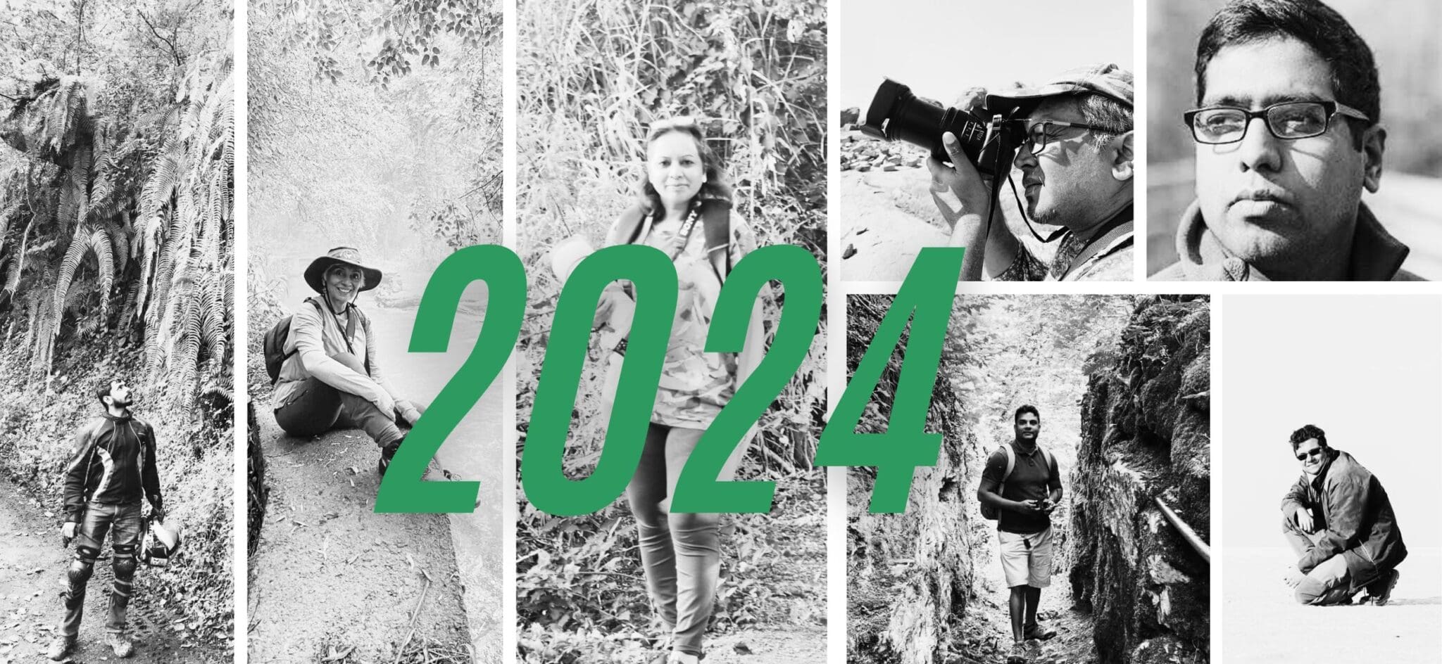 2024 – The Year The Green Ogre Breathed Again!