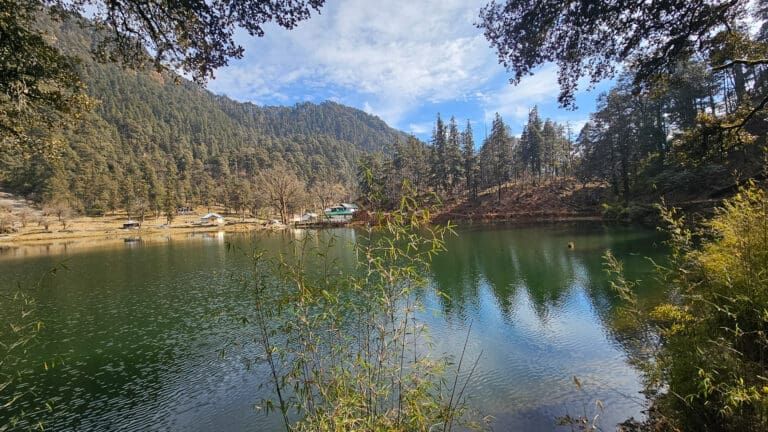 Trekking with Griffons: Dodi Tal via Darwa Pass