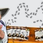 Ink On The Move - Things Fall Apart, But The Book Holds! Ink On The Move - Jennifer Nandi