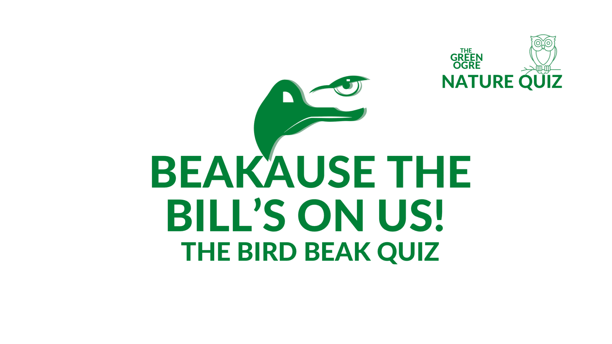 The Bird Beak Quiz by The Green Ogre/ A Bird Nerd Quiz Series