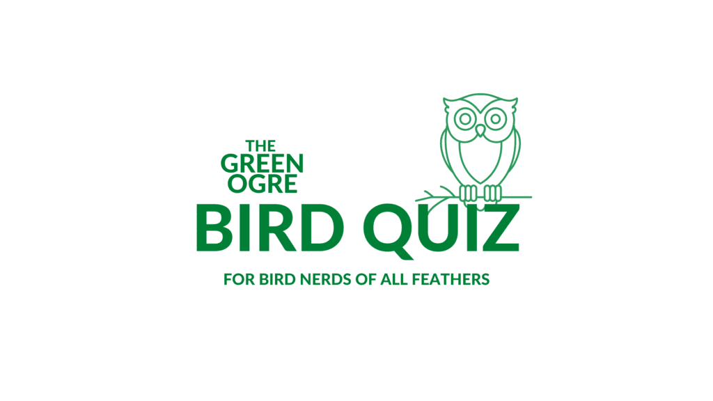 The Green Ogre Bird Quiz
