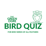 The Green Ogre Bird Quiz